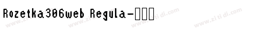 Rozetka306web Regula字体转换